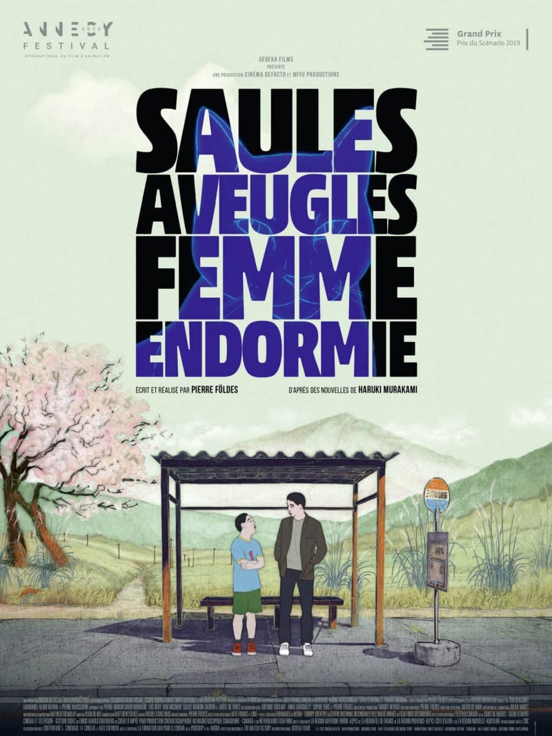 Affiche du film SAULES AVEUGLES, FEMME ENDORMIE